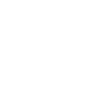 grenzenlos e.V.